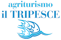 Logo - Agriturismo - Il Tripesce