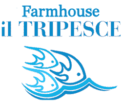 Logo - Agriturismo - Il Tripesce