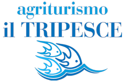 Logo - Agriturismo - Il Tripesce
